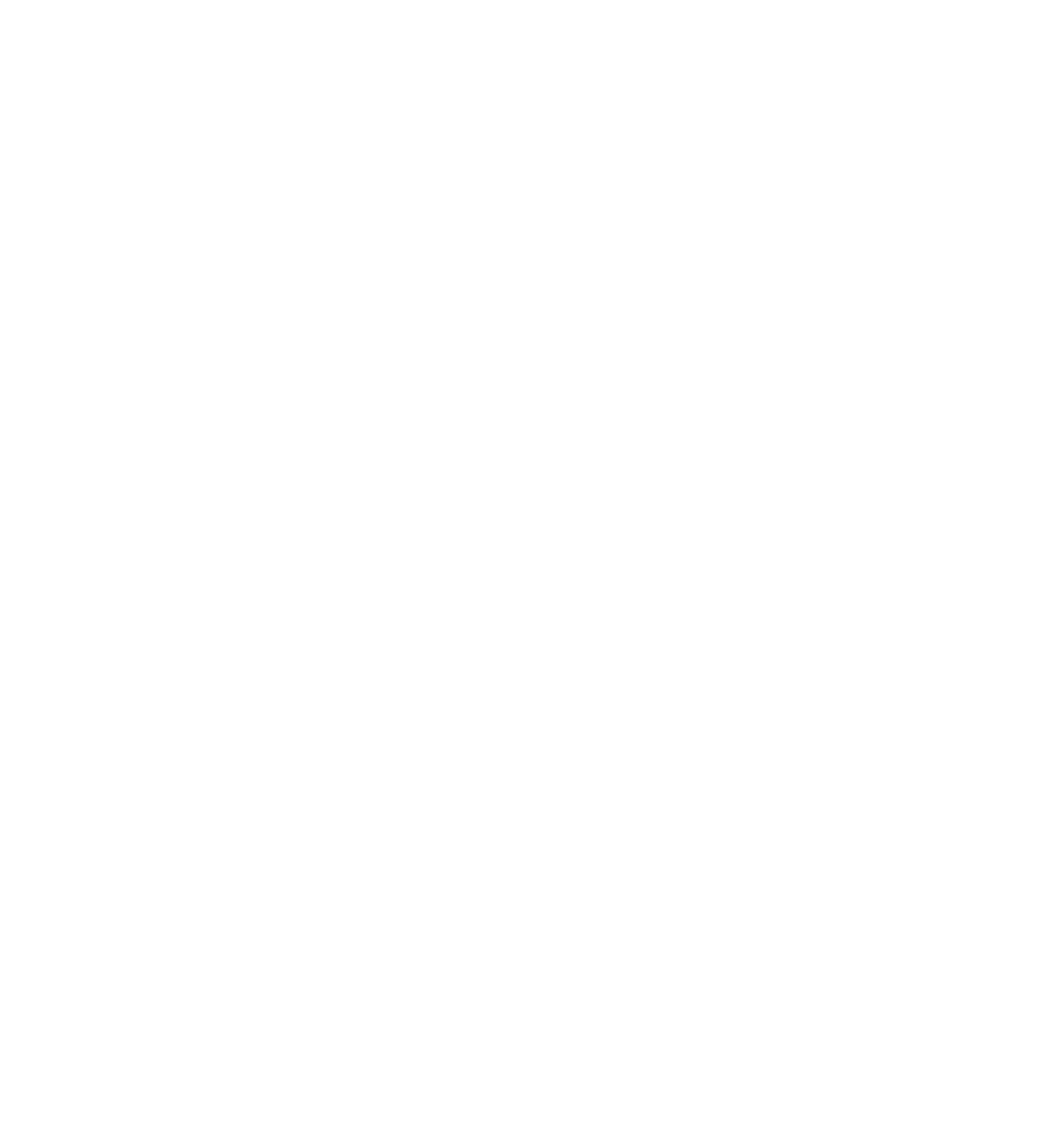 The Arena